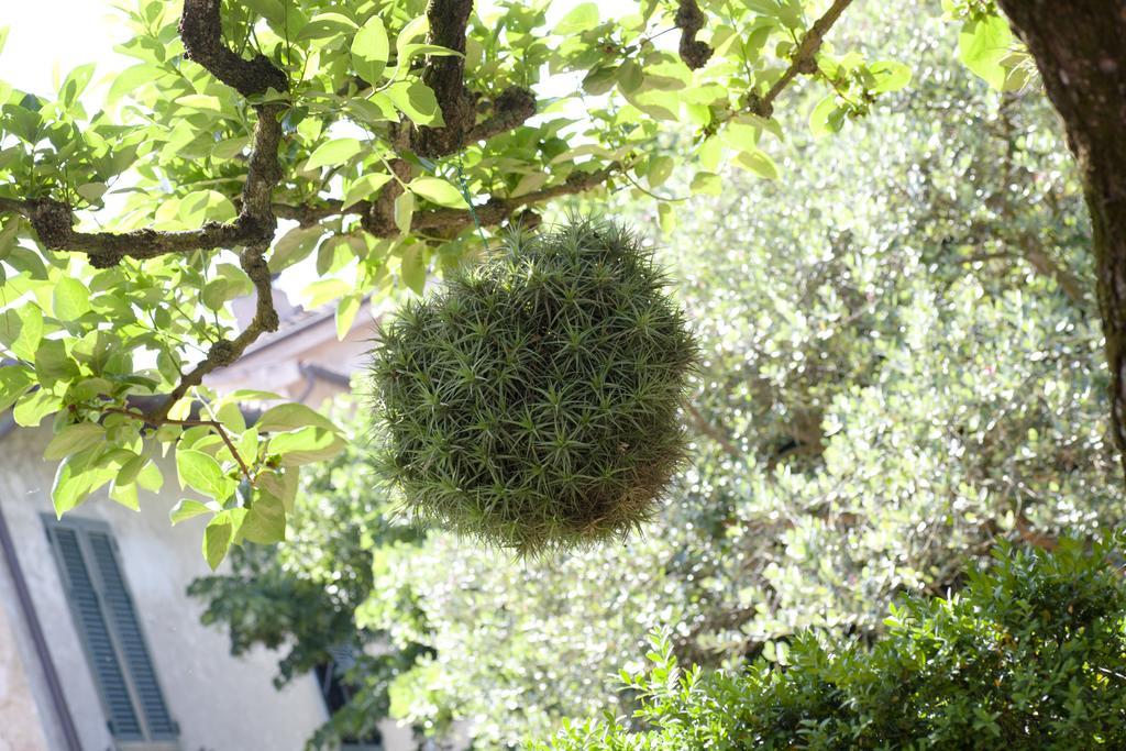 Albergo Stella Casciana Terme Exterior photo